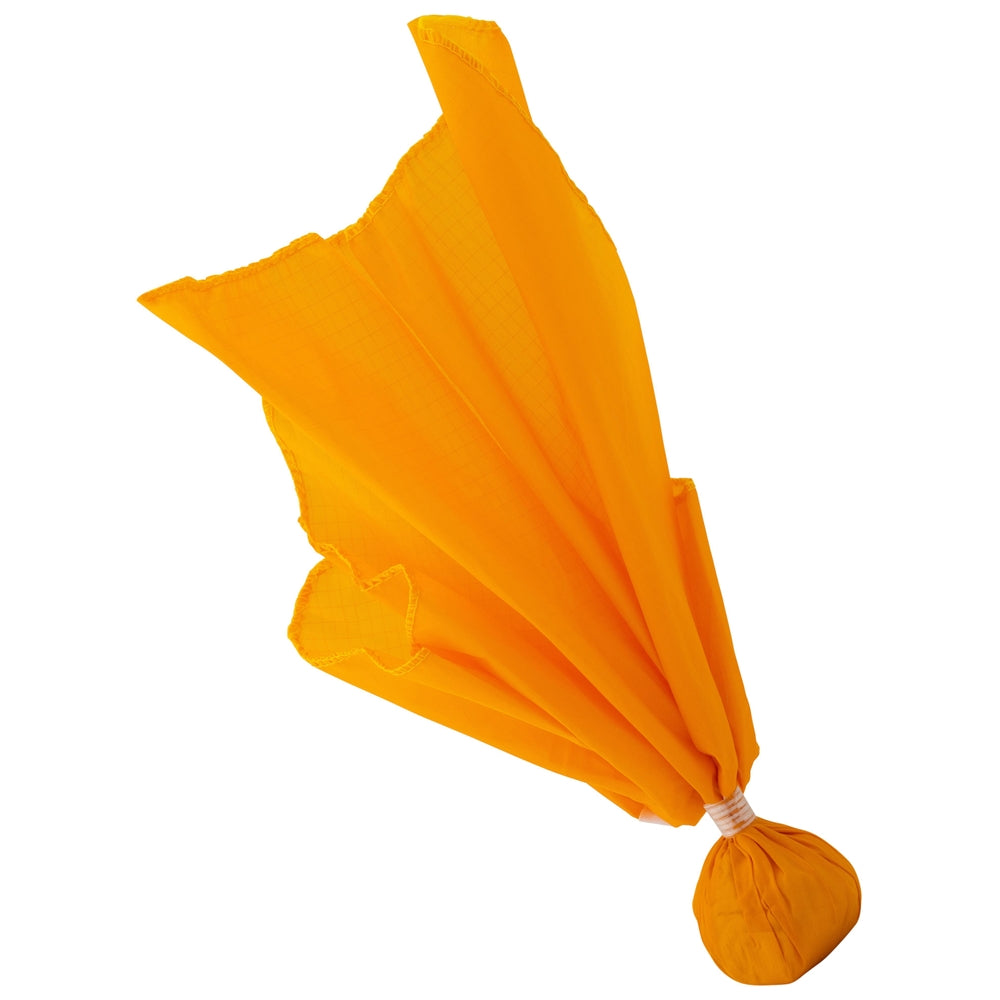 Ball Flag with Gold Ball